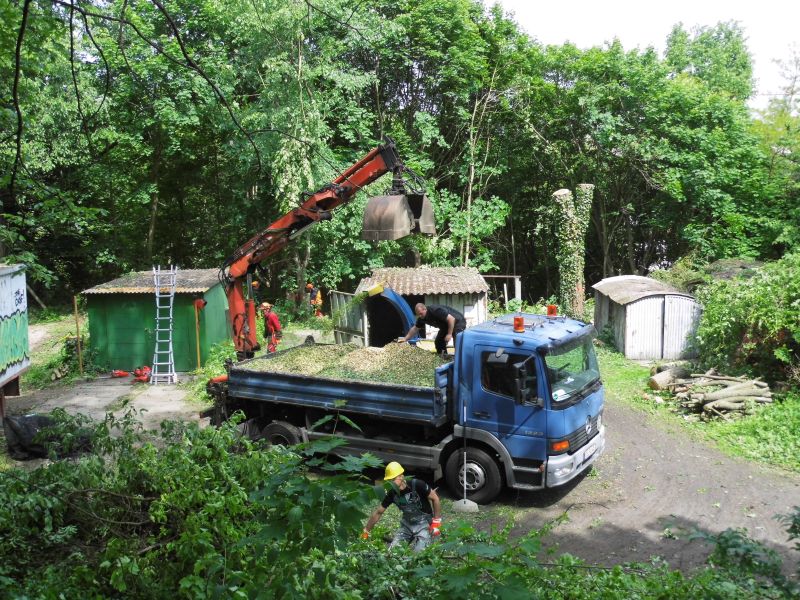 Abtransport Hackschnitzel