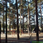 2013-09 - Bad Liebenwerda / OT Zeischa -Totholzentfernung im Kindergarten 